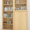 IMB 06 Bookcase Cabinet 100x100