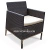 SFD 01 Denise Arm Chair With SS Leg1 100x100
