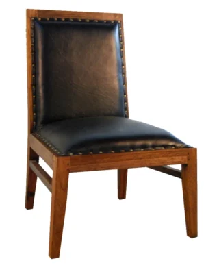 Shinee Chair furniture