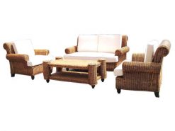 Griffin rattan living set