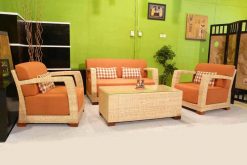 Fancy rattan living set