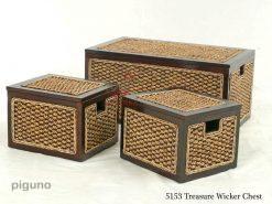 Treasure Wicker Box