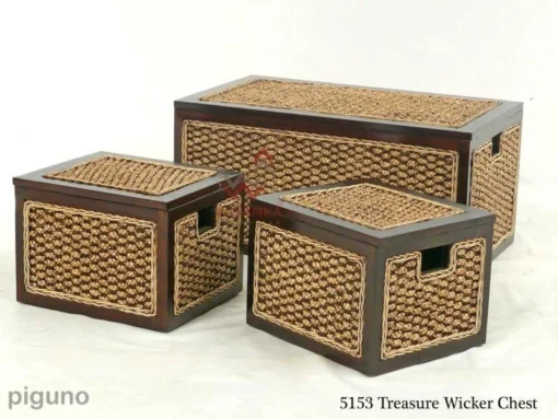 Treasure Wicker Box