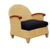 Clara Arm Chair 4581089 Clara 100x100