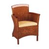 4671141 Diana Arm Chair 100x100