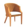 Scarlet Arm Chair 4971048 Scarlet 100x100