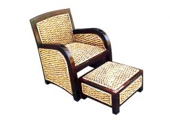 Turin Water Hyacinth