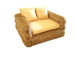 Sunny Arm Chair