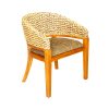 5351143 Sunshine Arm Chair 100x100