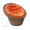 7765063 Papasan 100x100