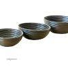 8195106 Cevita Bowl 100x100