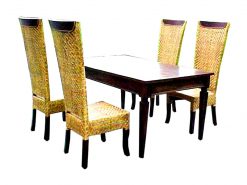 Trivia DIning Set