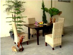 Morin rattan dining set
