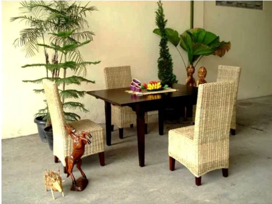 Morin rattan dining set