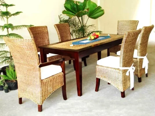New Tropical DIning Set