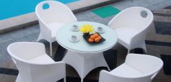 Livadia Synthetic rattan dining set