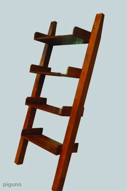 Ladder Rack