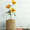 RM034 Coin Planter 100x100