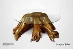 Sanjaya Reclaimed Teak Table